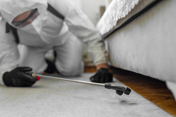 Professional Bed Bug Control technician working in Maud, TX