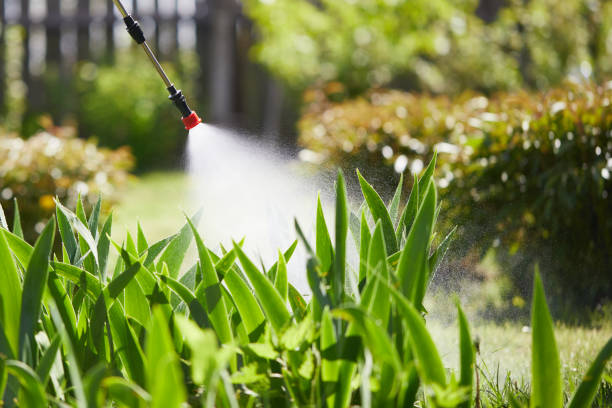 24/7 Emergency Bed Bug Control experts in Maud, TX