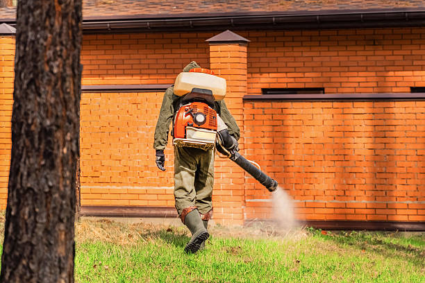 Top rated local Bed Bug Control specialists in Maud, TX